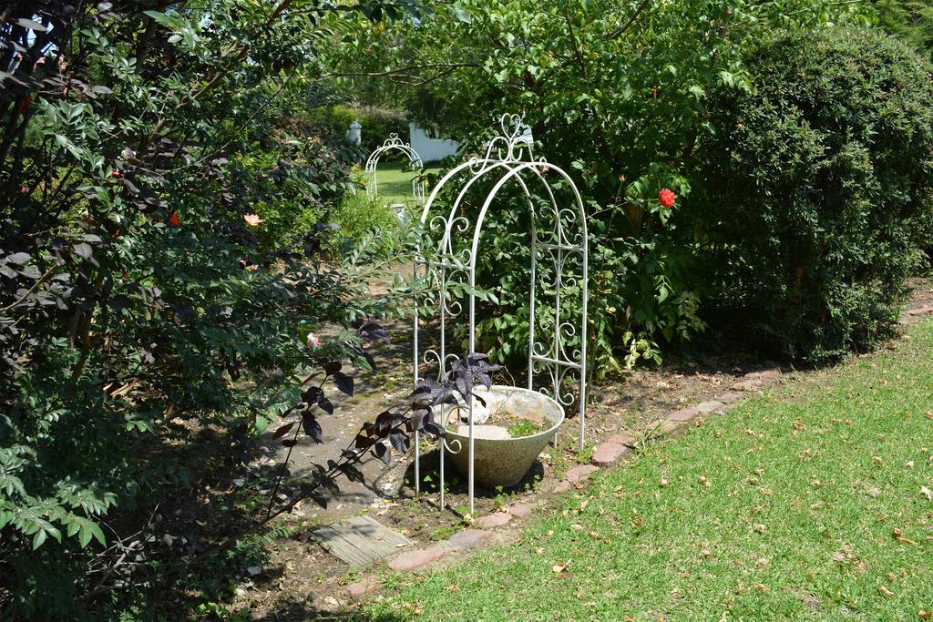 Toad Hall Guest House Wakkerstroom Buitenkant foto
